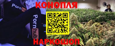 apvp Шахты