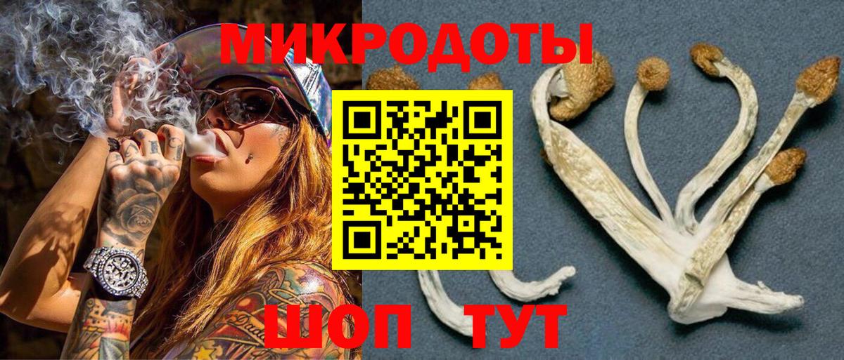 Псилоцибиновые грибы мухоморы  Галлюциногенные грибы Psilocybe  Вход с VPN  Карачаевск 