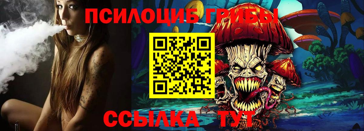 Псилоцибиновые грибы прущие грибы Карачаевск